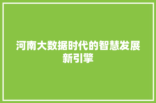 河南大数据时代的智慧发展新引擎