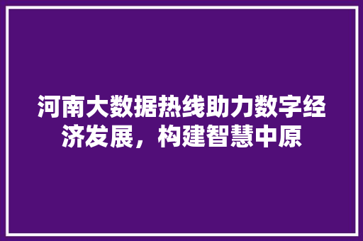 河南大数据热线助力数字经济发展，构建智慧中原