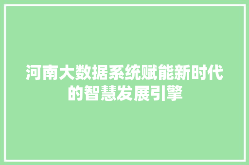 河南大数据系统赋能新时代的智慧发展引擎