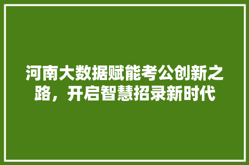 河南大数据赋能考公创新之路，开启智慧招录新时代