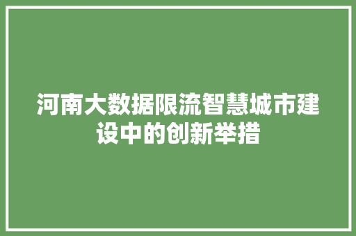 河南大数据限流智慧城市建设中的创新举措