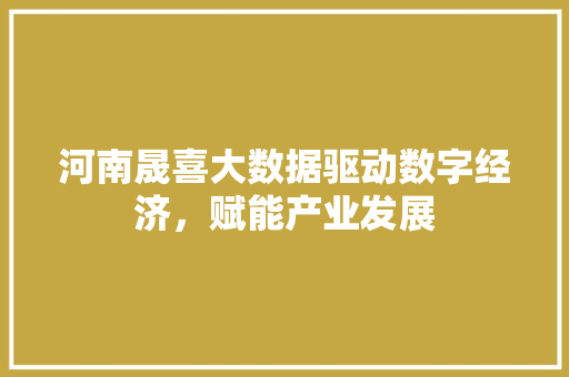 河南晟喜大数据驱动数字经济，赋能产业发展