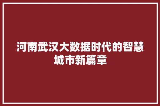河南武汉大数据时代的智慧城市新篇章