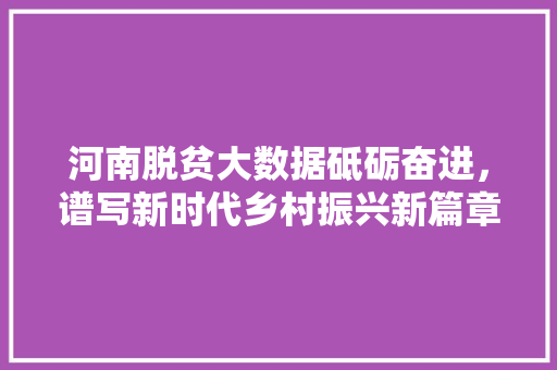 河南脱贫大数据砥砺奋进，谱写新时代乡村振兴新篇章