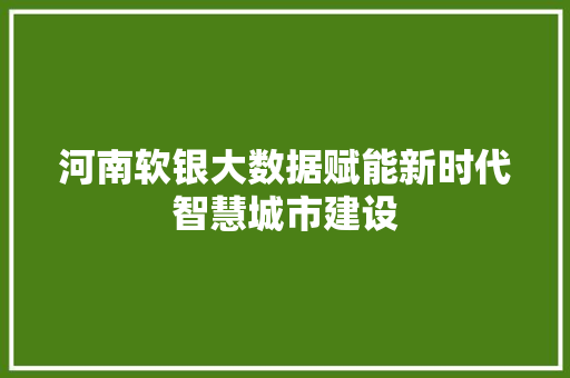 河南软银大数据赋能新时代智慧城市建设
