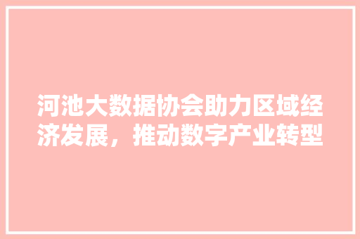 河池大数据协会助力区域经济发展，推动数字产业转型升级