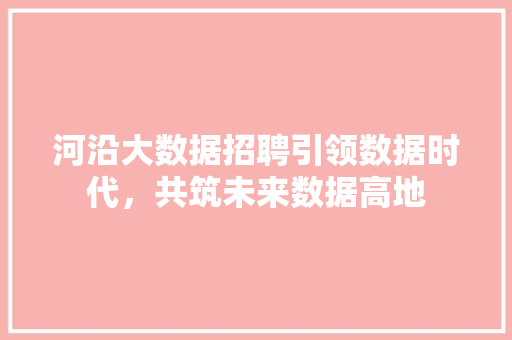 河沿大数据招聘引领数据时代，共筑未来数据高地
