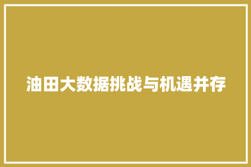 油田大数据挑战与机遇并存 油田大数据挑战与机遇并存