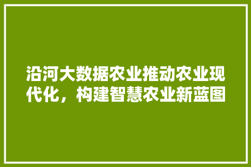 沿河大数据农业推动农业现代化，构建智慧农业新蓝图