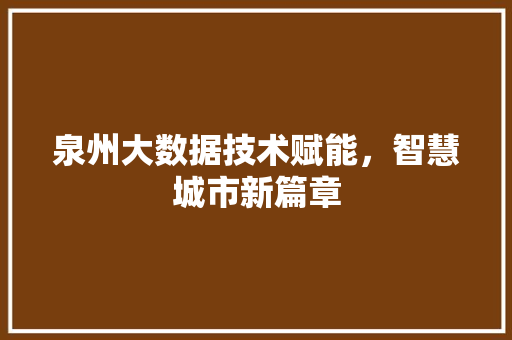 泉州大数据技术赋能，智慧城市新篇章