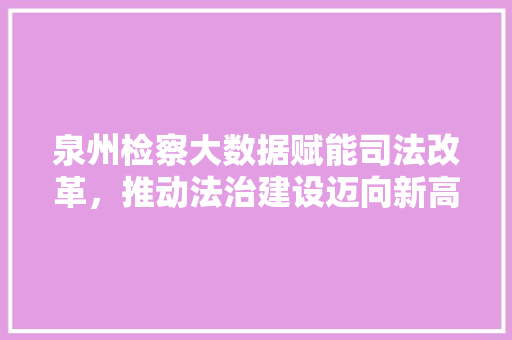 泉州检察大数据赋能司法改革，推动法治建设迈向新高度