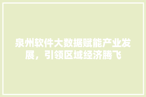 泉州软件大数据赋能产业发展，引领区域经济腾飞