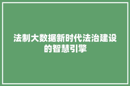 法制大数据新时代法治建设的智慧引擎