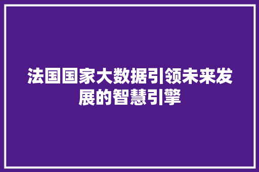法国国家大数据引领未来发展的智慧引擎
