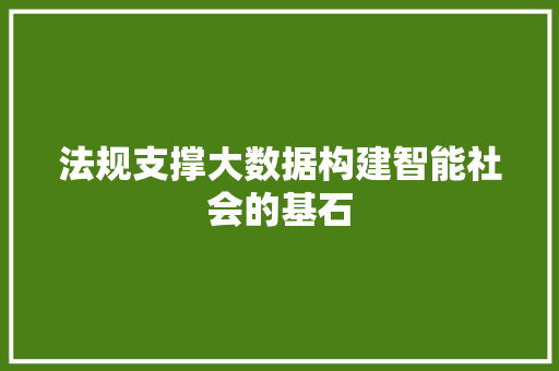 法规支撑大数据构建智能社会的基石