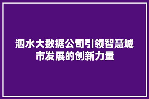 泗水大数据公司引领智慧城市发展的创新力量