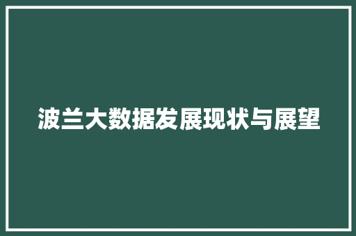 波兰大数据发展现状与展望