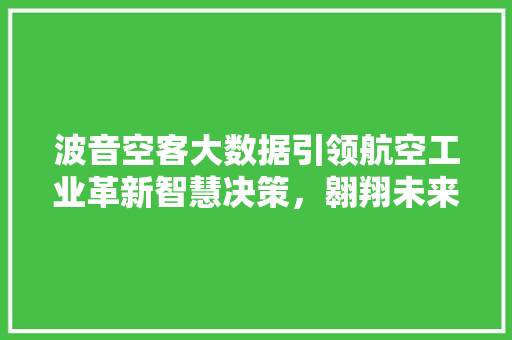 波音空客大数据引领航空工业革新智慧决策，翱翔未来