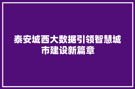 泰安城西大数据引领智慧城市建设新篇章