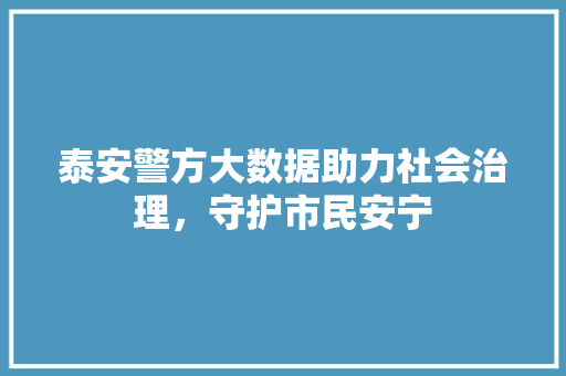 泰安警方大数据助力社会治理，守护市民安宁