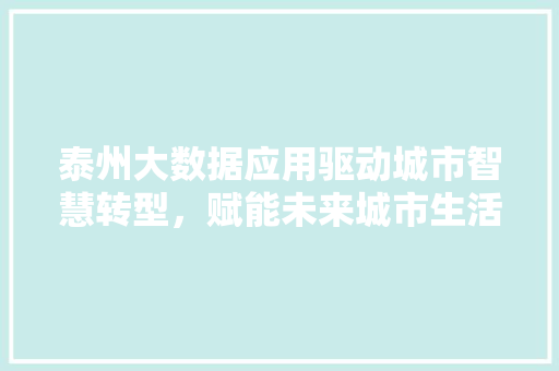 泰州大数据应用驱动城市智慧转型，赋能未来城市生活