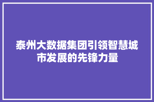 泰州大数据集团引领智慧城市发展的先锋力量