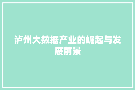 泸州大数据产业的崛起与发展前景