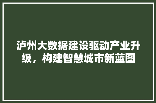 泸州大数据建设驱动产业升级，构建智慧城市新蓝图