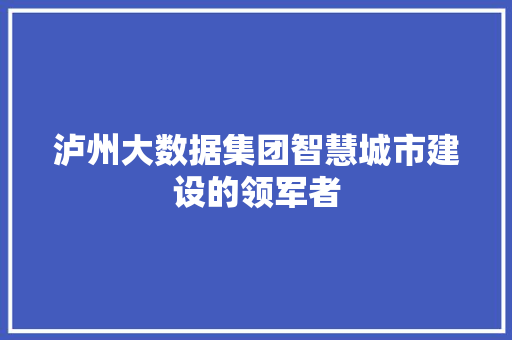泸州大数据集团智慧城市建设的领军者