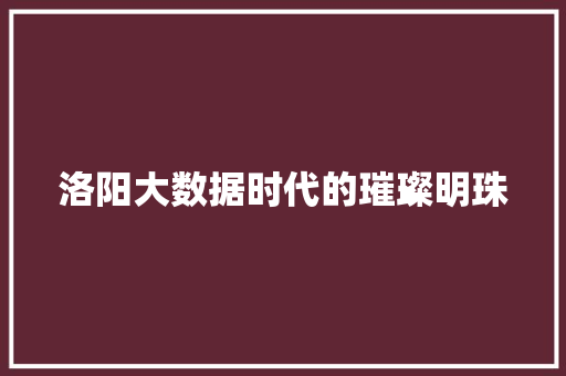 洛阳大数据时代的璀璨明珠