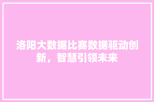洛阳大数据比赛数据驱动创新，智慧引领未来