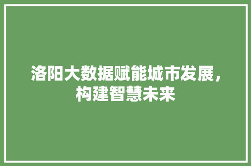洛阳大数据赋能城市发展，构建智慧未来