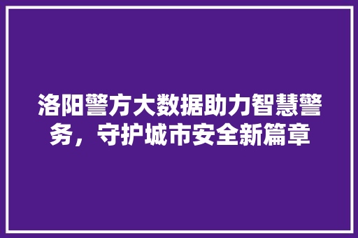 洛阳警方大数据助力智慧警务，守护城市安全新篇章