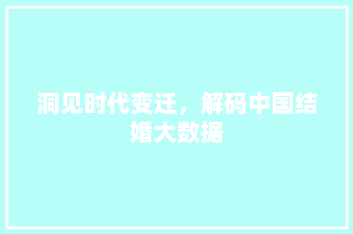 洞见时代变迁，解码中国结婚大数据