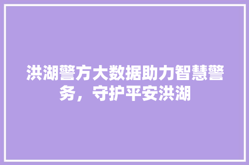 洪湖警方大数据助力智慧警务，守护平安洪湖