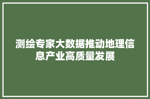 测绘专家大数据推动地理信息产业高质量发展