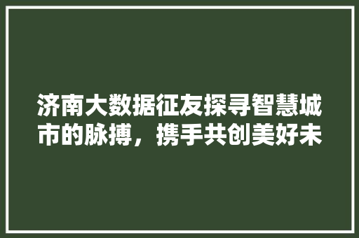 济南大数据征友探寻智慧城市的脉搏，携手共创美好未来