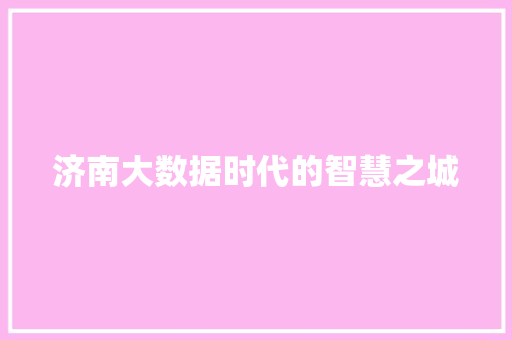 济南大数据时代的智慧之城 济南大数据时代的智慧之城