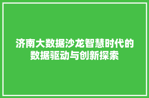 济南大数据沙龙智慧时代的数据驱动与创新探索 济南大数据沙龙智慧时代的数据驱动与创新探索