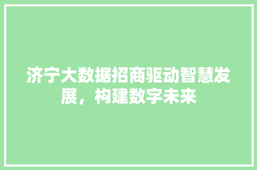 济宁大数据招商驱动智慧发展，构建数字未来