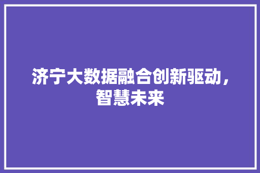济宁大数据融合创新驱动，智慧未来