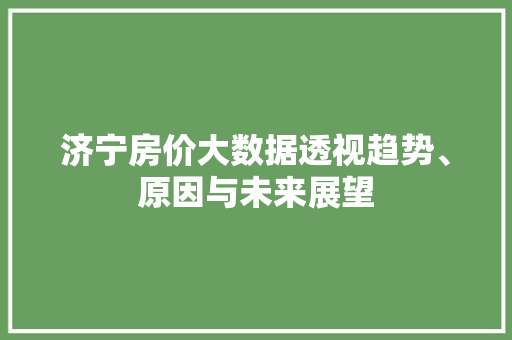 济宁房价大数据透视趋势、原因与未来展望