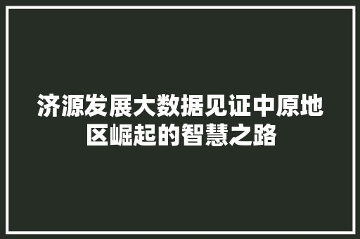 济源发展大数据见证中原地区崛起的智慧之路