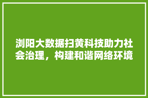 浏阳大数据扫黄科技助力社会治理,构建和谐网络环境 浏阳大数据扫黄科技助力社会治理,构建和谐网络环境
