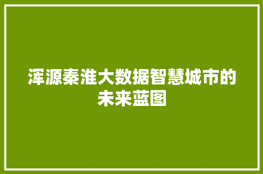 浑源秦淮大数据智慧城市的未来蓝图 浑源秦淮大数据智慧城市的未来蓝图