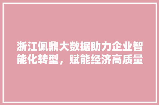 浙江佩鼎大数据助力企业智能化转型，赋能经济高质量发展
