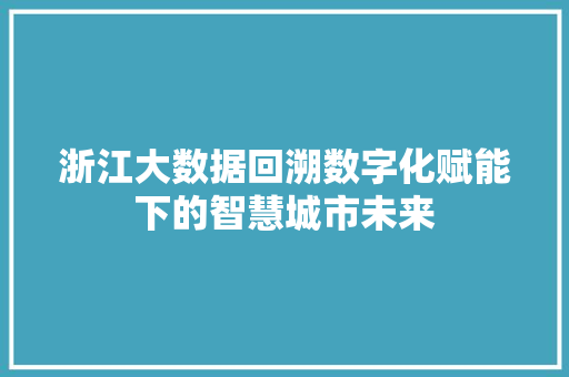 浙江大数据回溯数字化赋能下的智慧城市未来