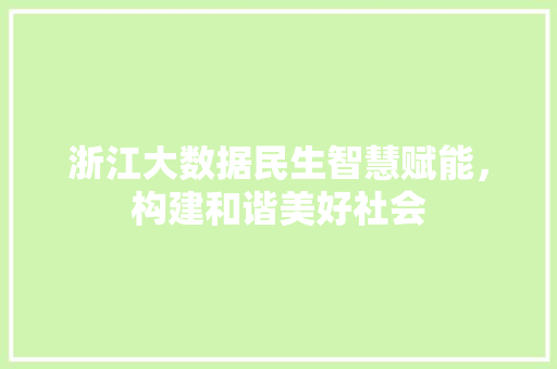 浙江大数据民生智慧赋能，构建和谐美好社会