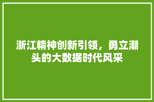 浙江精神创新引领，勇立潮头的大数据时代风采