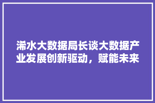 浠水大数据局长谈大数据产业发展创新驱动，赋能未来